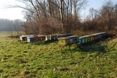 Beehives box in the meadows Stockfoto's