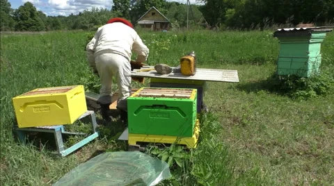 The beehives by checking Video stock 51172511