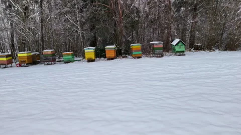 Beehives during winter. 스톡 동영상 331121377