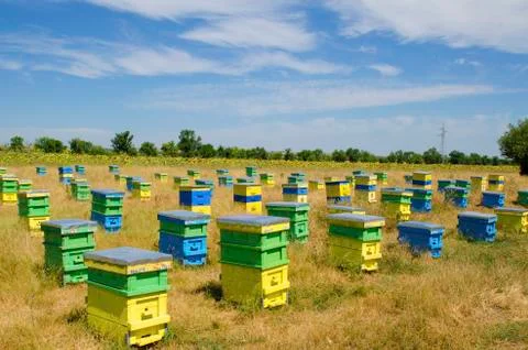 Beehives in a field Stock Photos