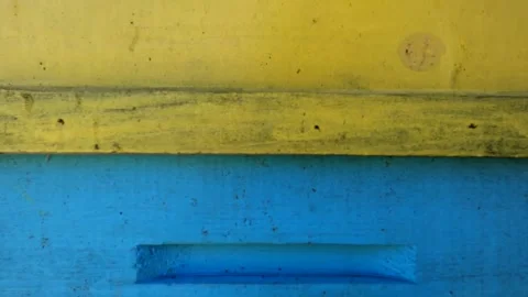 Beehives Stock Footage 167314031