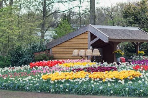 Beehives in a garden Foto stock