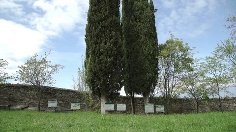 Beehives in a meadow in monastery Stock Footage 77404185