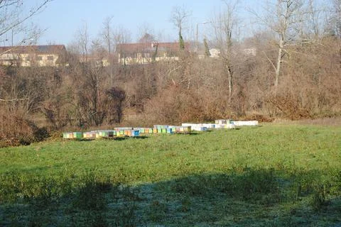 Beehives in the meadows Stockfoto's