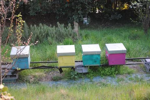 Beehives in the meadows Stockfoto's