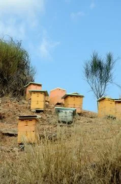 Beehives Foto stock