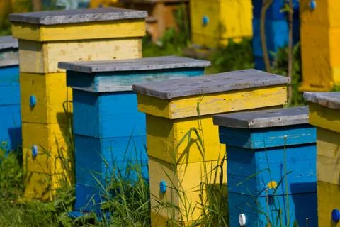 Beehives Stock Photos
