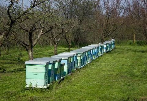 Beehives Stock-Fotos