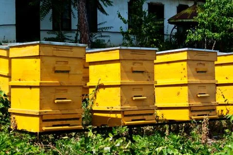 Beehives Stock Photos