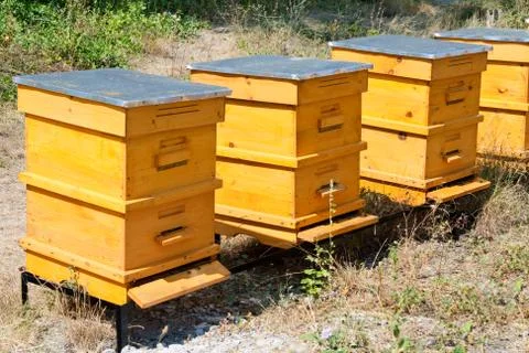 Beehives Stock Photos