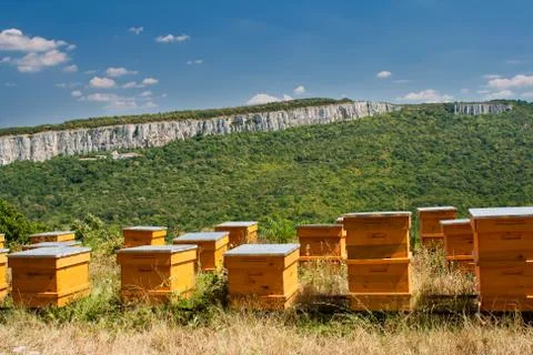 Beehives Stock Photos