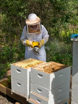 Beehives Stock-Fotos