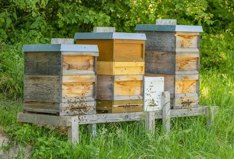 Beehives Stock Photos