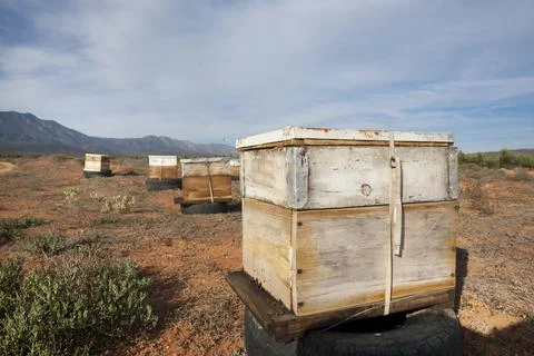 Beehives for Pollination Stock Photos