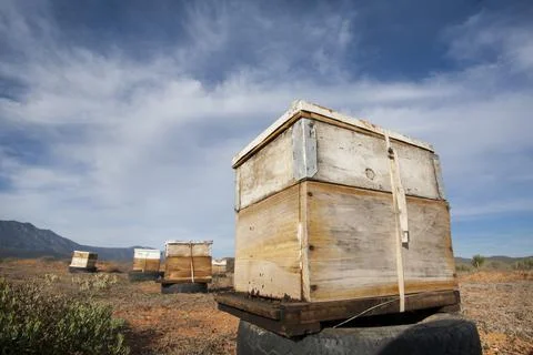 Beehives for Pollination Stock Photos