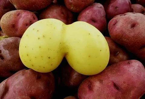 Beeing unique Foto stock