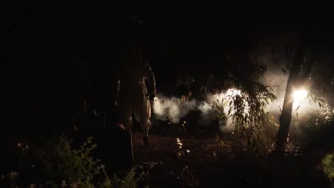 Beekeeper 03 Stock Footage 156595816