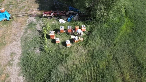 Beekeeper aerial view Stock Footage 240729948