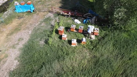 Beekeeper aerial view Stock-Footage 240730267