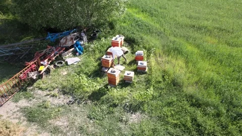 Beekeeper aerial view Stock Footage 240730536