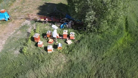 Beekeeper aerial view Stock Footage 240730938