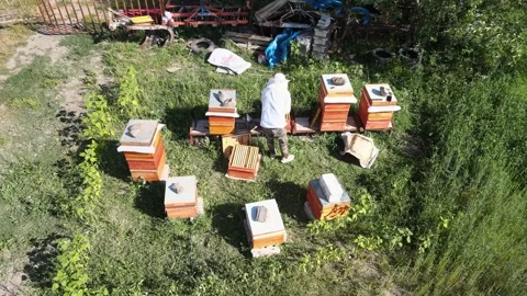 Beekeeper aerial view Stock Footage 240731069