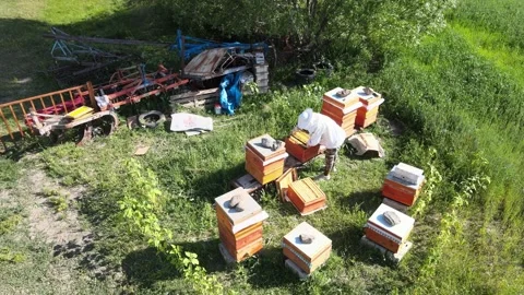 Beekeeper aerial view Stock Footage 240731330