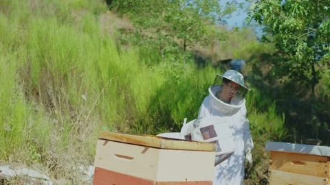 Beekeeper and assistant working in a hive Stock Footage 219721964