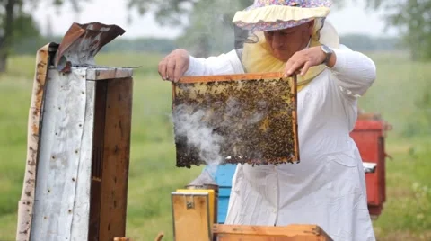 Beekeeper and bees in the hive Stock Footage 63437524