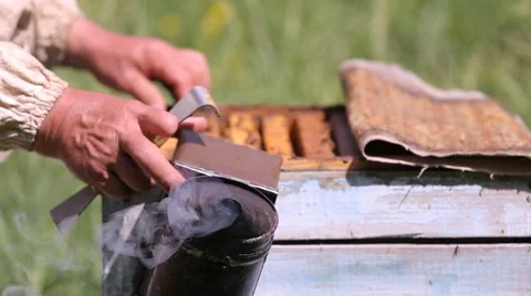 Beekeeper and bees in the hive Stock-Footage 64535908
