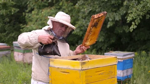 Beekeeper and bees in the hive Stock Footage 64536301