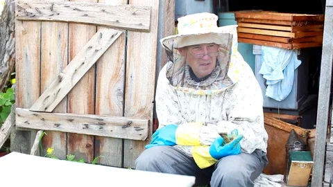 Beekeeper in an apiary. Apiculture. Stock Footage