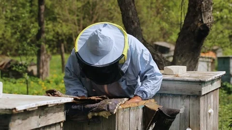 Beekeeper on apiary. Beekeeper is working with bees and beehives on the apiary Stock-Footage 130983681