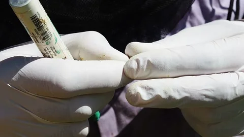 Beekeeper in apiary marking queen bee. Stock Footage 141543868