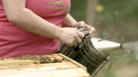 Beekeeper with a Bee Smoker Stock Footage 91041908