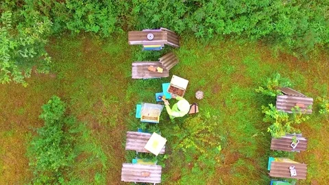 Beekeeper on the beefarm aerial filming Stock Footage 80007768