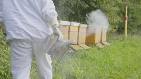 Beekeeper at beehive Stock Footage 84764294