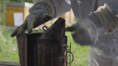 Beekeeper with beehive smoker Video stock 84762750