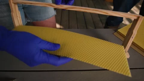 Beekeeper builds future hive life by setting honeycomb sheets. Video stock 313101768