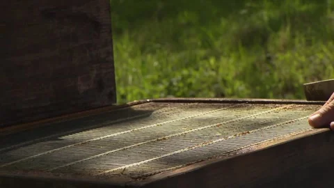 Beekeeper carefully closing beehive after inspection Stock Footage 329773850