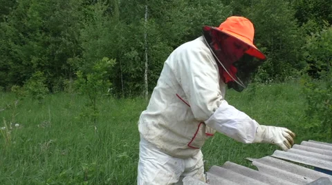 Beekeeper by checking his beehive and using smoker Video stock 51172441