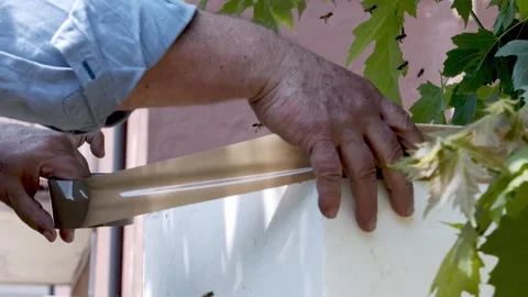 A beekeeper closes a box full of bees with scotch tape. Stock Footage 155238701