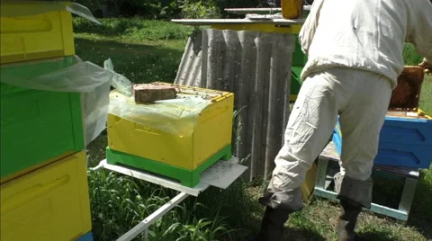 Beekeeper combines two hives Stock Footage 51171363