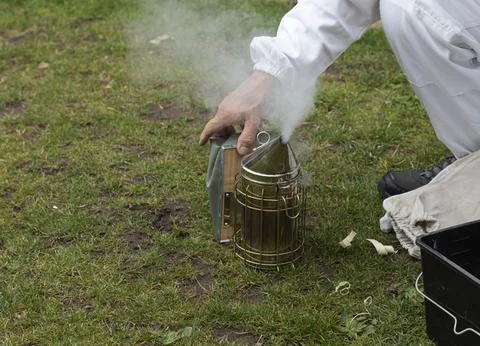 Beekeeper crouching down and lighting his smoke equipment Foto stock