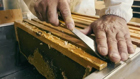 A beekeeper cuts wax from a frame close-up. Honey production concept Stock Footage 203444140