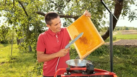 Beekeeper cuts wax from honeycomb frame with a special electrik knife Stock-Footage 116090215