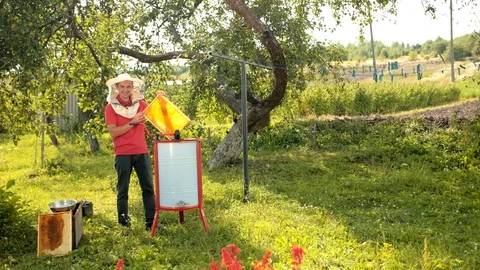 Beekeeper cuts wax from honeycomb frame with a special electrik knife Stock Footage 116092552