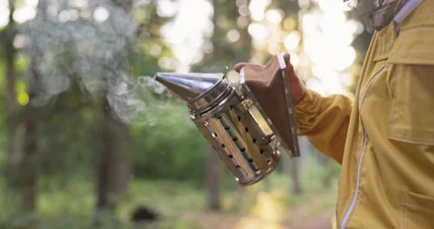 A beekeeper dressed in a protective suit with a mosquito net over his head Stock Footage 165030205