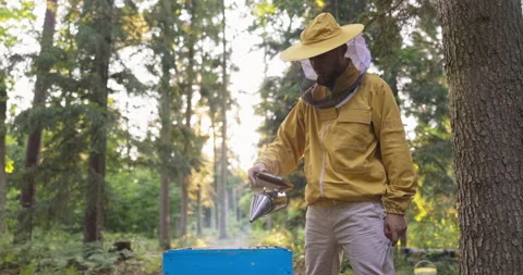 A beekeeper dressed in a protective suit with a mosquito net on his head sprays Vídeo Stock 165030988