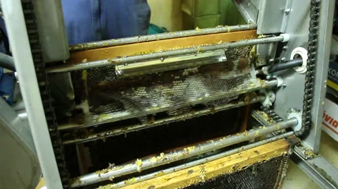 Beekeeper extracting honey with machine in home Video stock 54233415